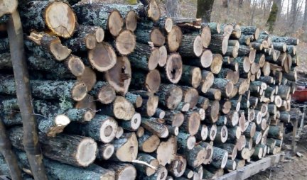 Krajnje vreme za mere! Cene drveta za ogrev podivljale, neophodna zabrana izvoza