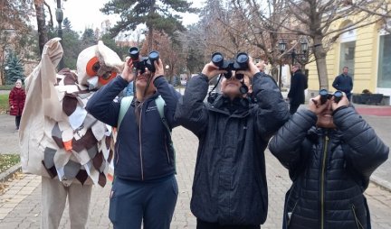 SOVE DOLETELE U OMILJENO ZIMOVALIŠTE! „Sova patrola“ izbrojala preko 150 ušara na stablima u centru Kikinde/FOTO/