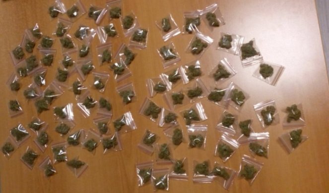 PAO GOLOBRADI DILER SA ZVEZDARE! Vozio skoro 100 paketića marihuane pripremljene za prodaju