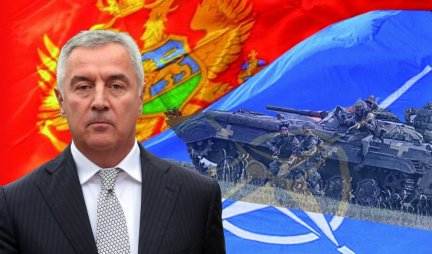 Crna Gora želi da se dodvori NATO po svaku cenu! Povećavaju broj svojih vojnika u Alijansi... Evo i zašto!