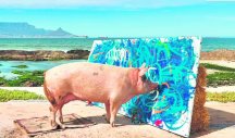 HIT PRIČA! Krmača naslikala sliku od 23.600 evra! Svinja Pigkaso je NAJPLAĆENIJA ŽIVOTINJA SLIKAR NA SVETU!