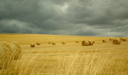 AKO SETVA BUDE POREMEĆENA... Ukrajina se oglasila i otkrila da li će biti pšenice za izvoz