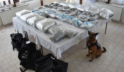 POLICIJA IH ISPREPADALA TOKOM PRIMOPREDAJE! Zaplenjeno 63 kilograma marihuane i uhapšeno 5 osoba kod Novog Pazara! (FOTO)