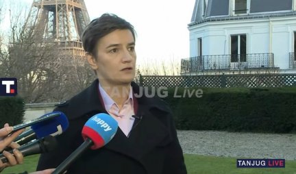 Brnabić: Odličan sastanak u Parizu, slede nova ulaganja!