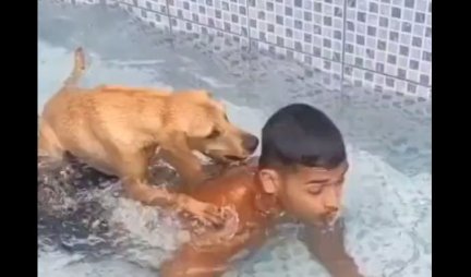 ŠOK U BAZENU! Pas je skočio na dečaka, a onda je uradio nešto NEVEROVATNO  - potpuni hit (VIDEO)