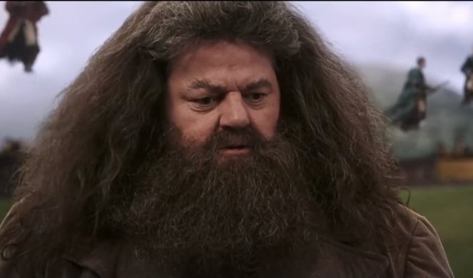 GLUMAC KOJEG SMO SVI OBOŽAVALI NE IZLAZI IZ KUĆE! Zavoleli smo ga kao Hagrida u popularnom FILMU , a on sada ŽIVI u ŠTALI i ne može da HODA  (VIDEO)