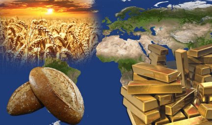 PŠENICE IMAMO ZA GODINU DANA, KUKURUZA ZA DESET MESECI! Biće hleba u Srbiji, neće biti loma tržišta i velikih poskupljenja kao u drugim zemljama!