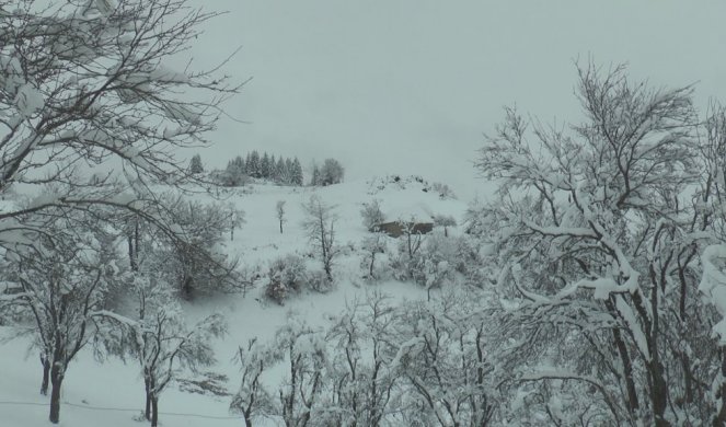 SUROVA ZIMA NE ODUSTAJE! Potrošili smo do sada više od 20 metara drva, a namirnice kupujemo da imamo do proleća - Ovako žive ljudi na Zlataru! (FOTO)