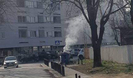 Vatreni vikend u Kragujevcu! Goreli kontejneri i dva automobila