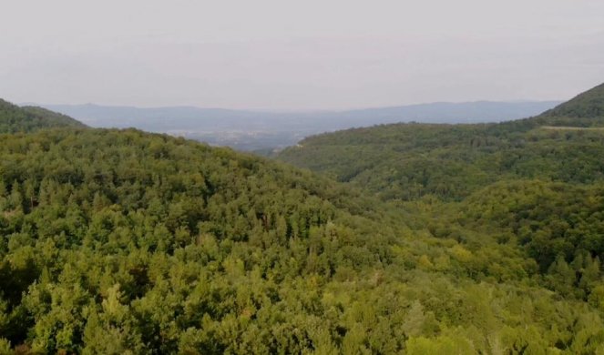 OVA PRIRODNA LEPOTICA JE DOBILA IME PO TRAGIČNOJ SUDBINI SRPSKE DEVOJKE! Planina Jelica je bogata šumom i fantastičnim PEJZAŽIMA! (FOTO)