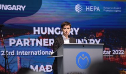 Juče sam imala sastanak sa predsednikom Vučićem... Ne znam da li ću ostati premijerka, to je trenutno najmanje važno!