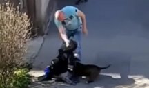 SNIMAK UŽASNOG NASILJA ŠOKIRAO SRBIJU! Muškarac krvnički udara ženu, njenog psa šutira nogama (VIDEO)
