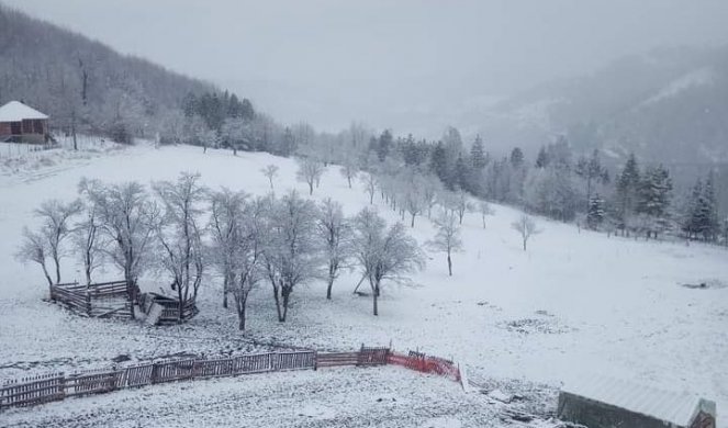 NEVEROVATNA SLIKA STIŽE IZ NOVE VAROŠI! Sneg padao cele noći, pahulje prekrile livade i pašnjake (FOTO)