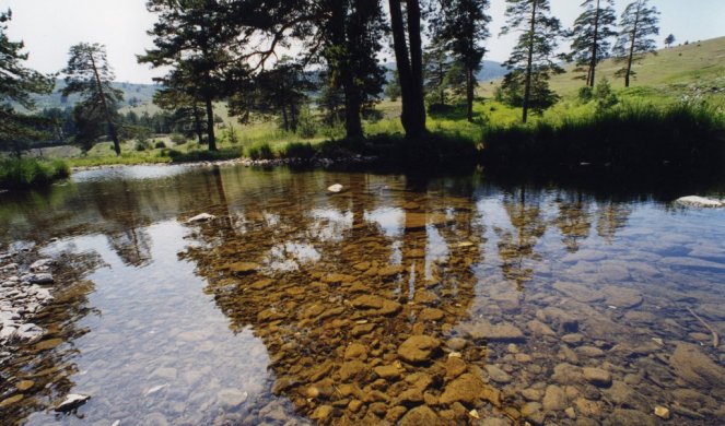 ČIST VAZDUH, PRIRODNE LEPOTE I AVANTURE KAO NI NA JEDNOM DRUGOM MESTU! Obradujte porodicu odlaskom na Zlatibor, a evo šta vas sve tamo očekuje!