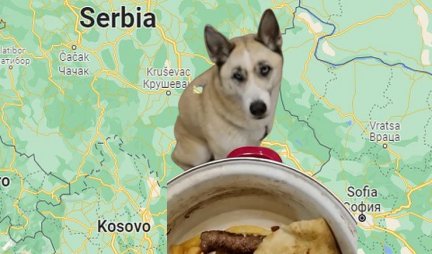 ČAK I HASKI ZNA DA JE KOSOVO SVETA SRPSKA ZEMLJA! Amerikanac naučio psa ono što SVAKI SRBIN ZNA! (VIDEO)