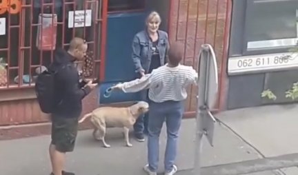 OVO VAM JE TOLERANCIJA, SLEDEĆI PUT ĆU GA RUKAMA ZADAVITI! Još jedna svađa zbog pasa u Beogradu! Žena spasila životinju od nasilnog muškarca (VIDEO)