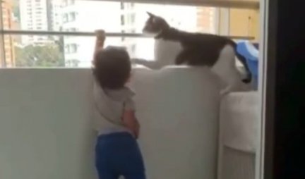 MA, GDE SI POŠAO! Ova mačka je pravi ČUVAR - evo kako PAZI na svog malenog vlasnika! (VIDEO)