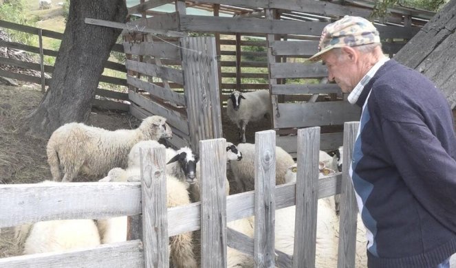 SVAKOG DANA ČEKAMO DA UPADNU I NAPRAVE ŠTETU! Divlje zveri i medvedi haraju selima na Goliji, meštani žive u strahu