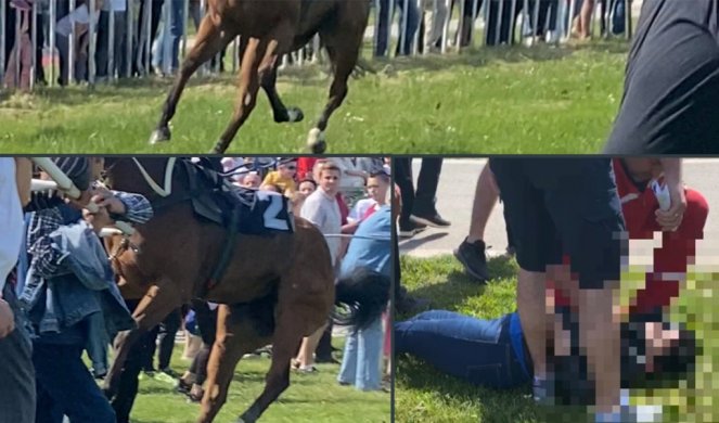 DOŠLI SMO DA GLEDAMO TRKE, A ONDA JE NASTAO HAOS, OPŠTA PANIKA! Incident na Hipodromu u Sremskoj Mitrovici! Konj uleteo u publiku, džokej povređen! (FOTO)