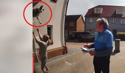 DA SRCE ZASTANE! Pogledajte kako je pas PAO sa terase, ali ga je brza reakcija vlasnice SPASILA! (VIDEO)