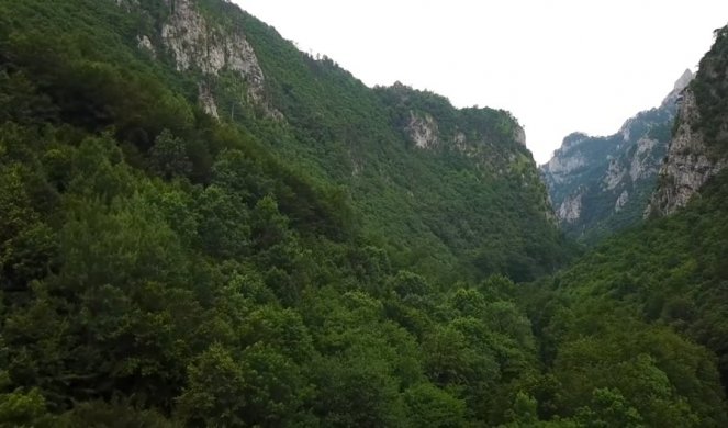 NESTVARNA LEPOTA PRAŠUME PERUĆICA! Ovde je priroda netaknuta, a stabla su visoka 50 metara (FOTO)