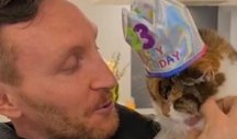 Ova mačka je napunila 23 GODINE (108 ljudskih!), a njen vlasnik joj je priredio SAVRŠEN ROĐENDAN! (VIDEO)
