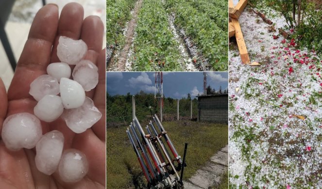 GRAD UNIŠTAVA ZASADE! Vremenske nepogode sve češće, OVO SU JEDINI NAČINI da zaštitite rod