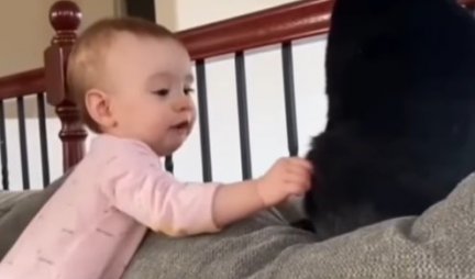 SLATKO ILI OPASNO? Beba je POČUPALA MAČKU, a onda joj je ona OZBILJNO uzvratila! (VIDEO)