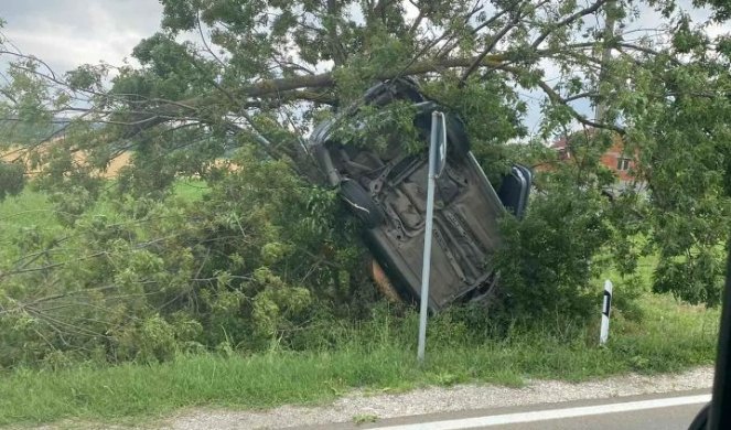 GEPEK SE ZALEPIO ZA STABLO! Vozači ostali u šoku kad su videli nesvakidašnju scenu kod Topole (FOTO)