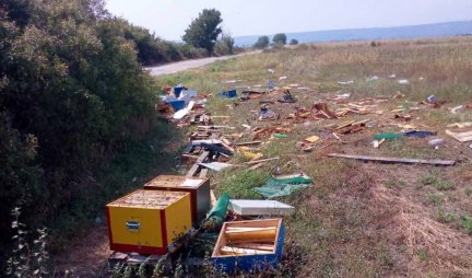 UŽAS, LOPOVI KRADU I UBIJAJU PČELE! U nevolji pčelari se dosetili, za kradljivcima s uspehom TRAGA OPERATIVNI TIM (FOTO)