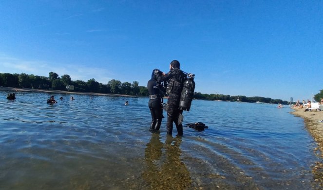 AŽDAJA U BEOGRADSKOM JEZERU! Oči u oči sa somom od dva metra, štukom dužine metar i po... ŠTA SVE KRIJE DNO ADE CIGANLIJE