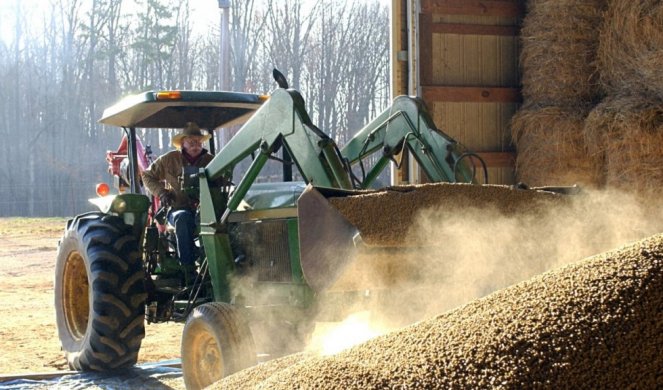 TONA PELETA ĆE DO JESENI KOŠTATI 500 EVRA! TRAŽNJA OGROMNA, A NJEGA NEMA NA STOVARIŠTIMA! Kupce stavljaju na liste čekanja, ovo ne sluti na dobro...