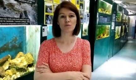 MAGIJA VODENOG SVETA U SRCU ŠUMADIJE! PMF u Kragujevcu 23 godine neguje jedinstveni akvarijum, PRVI U SRBIJI (VIDEO/FOTO)