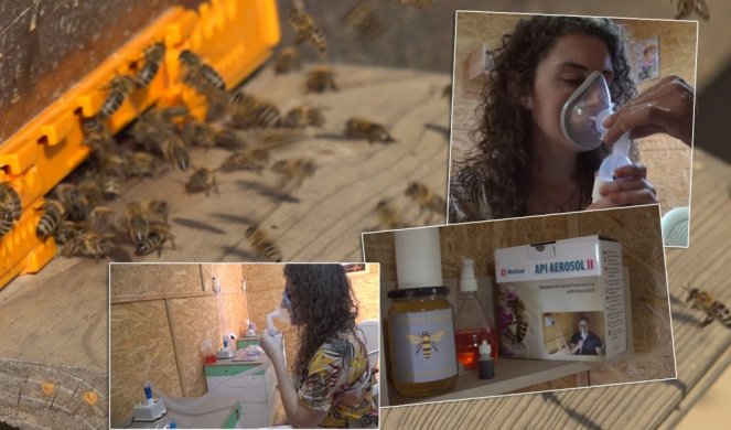 PČELE RADE ZA NAŠE ZDRAVLJE! Udisanje vazduha  iz pčelinjih košnica pomaže kod OVIH bolesti i respiratornih tegoba!