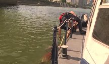 (VIDEO) DRAMATIČAN SNIMAK! Pripadnici rečne policije munjevito reagovali, spasili maloletnika koji je skočio sa Brankovog mosta!