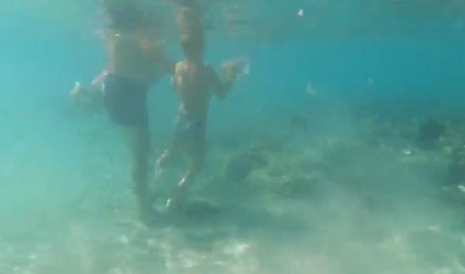 NOVI JEZIVI SNIMAK IZ EGIPTA! Dečak napadnut u vodi dok je njegov deda HRANIO RIBE, on se nije obazirao, već je nastavio! HOĆE LI SE LJUDI OPAMETITI? (VIDEO)