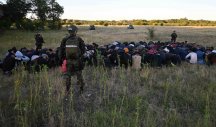 POLICIJSKA AKCIJA! Na više lokacija u blizini Horgoša pronađeno više od 300 migranata