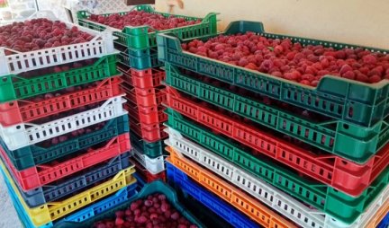 Navodi na društvenim mrežama su neistiniti! Oglasilo se Ministarstvo poljoprivrede: Srbiji nije zabranjen izvoz voća u EU!