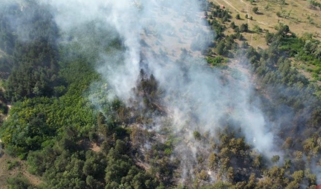 POŽAR U RADANOVAČKOJ ŠUMI U SUBOTICI! Gorela 3 hektara zaštićenog dobra, sumnja se da je ovo faktor