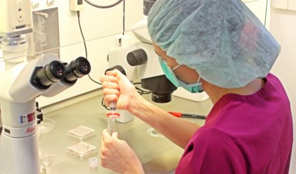 U Srbiji započet proces vantelesne oplodnje sa reproduktivnim materijalom iz Španije