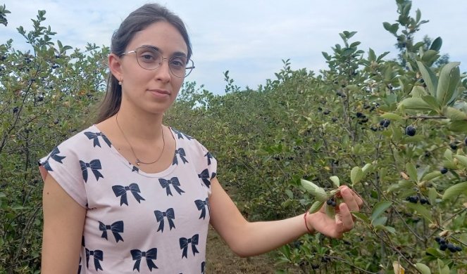 IZ SIBIRA PROCVETALA U RAVNOM BANATU! Željka buduća doktorka, smislila je efektan način da ZAŠTITI NJENE CRNE BISERE (FOTO)