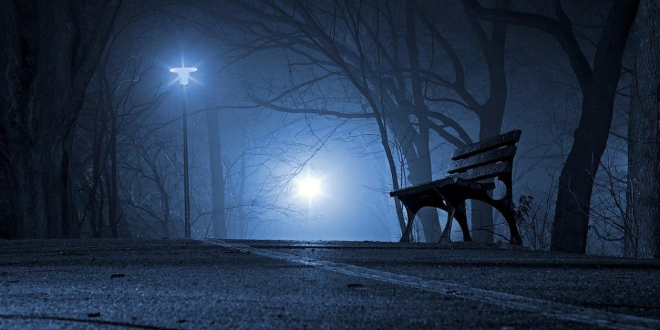 Uzbuna u Petrovcu na Mlavi!: Opasna zverka vreba iz mraka na 200 metara od centra grada