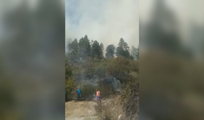 DOMAĆINSTVA BEZBEDNA, POŽAR U PRIBOJU STAVLJEN POD KONTROLU! Vatra zahvatila više od 20 hektara šume, vatrogasci i dalje terenu (FOTO)