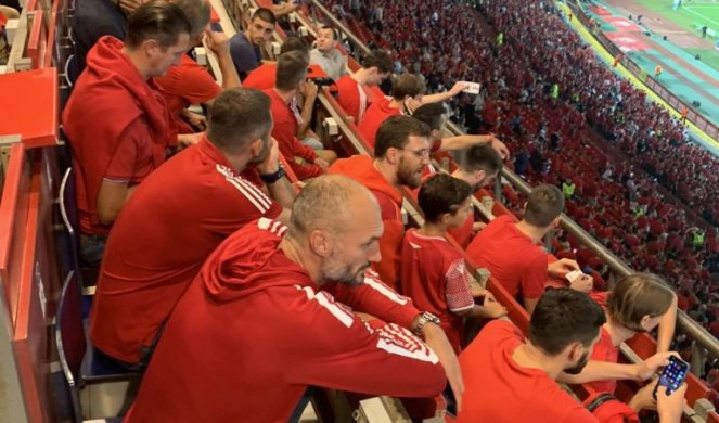 - Foto galerija - Informer.rs