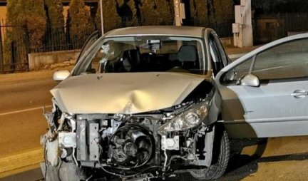 "AUDIJEM" NALETEO NA KONJA NA AUTO - PUTU! Životinja stradala, vozač teško povređen