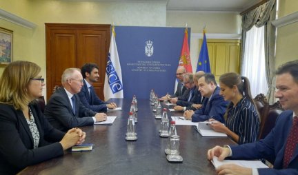 Dačić i Bratu: Partnerska saradnja Srbije i Misije OEBS