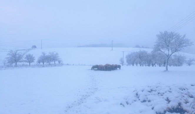 ZABELELA SE ZAPADNA SRBIJA! Na ovim planinama je sneg padao čitavu noć! (FOTO)