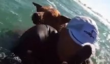 KAKVO HEROJSTVO! Primetio je psa u moru, a onda ga je NA LEĐIMA spasio od sigurne SMRTI! (VIDEO)