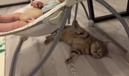 ONA JE NAJBOLJA BEBISITERKA! Pogledajte kako ova mačka čuva bebicu! (VIDEO)