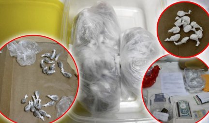 ZAUSTAVLJENI DILERI! Pronađen kokain, marihuana, ali i falsifikovana dokumenta HAPŠENJE U BEOGRADU (FOTO)